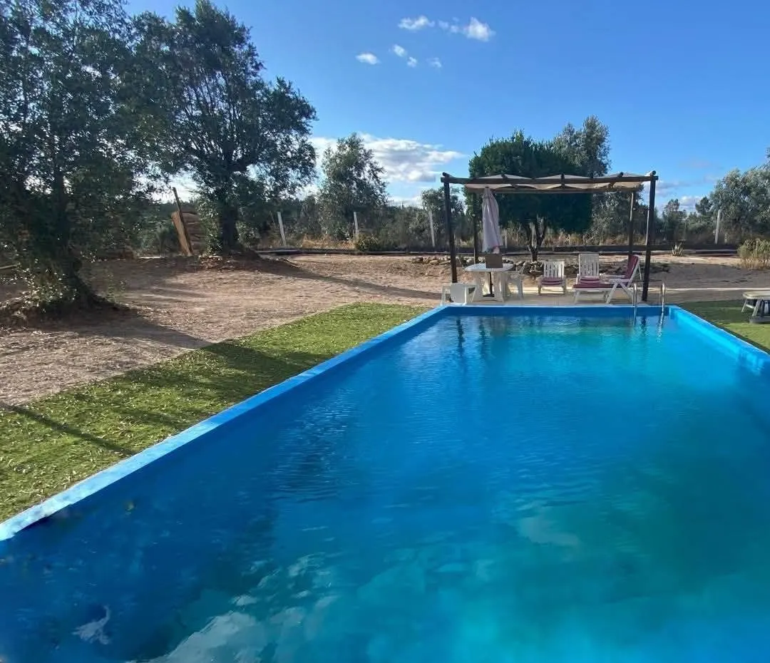 A piscina ao sol, com a pérgula de madeira e as espreguiçadeiras ao fundo, entre oliveiras